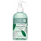CND Scentsations Birch & Mint Wash