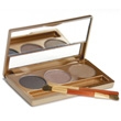 Colorescience Brow Palette