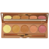 Colorescience Global Corrector Palette